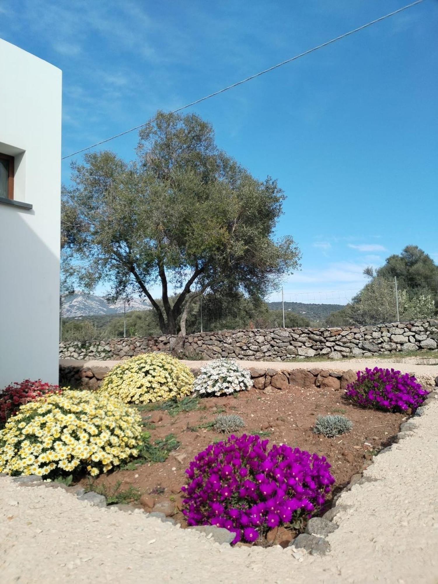 Farmhouse La Croisette - Agriturismo Dorgali Kültér fotó